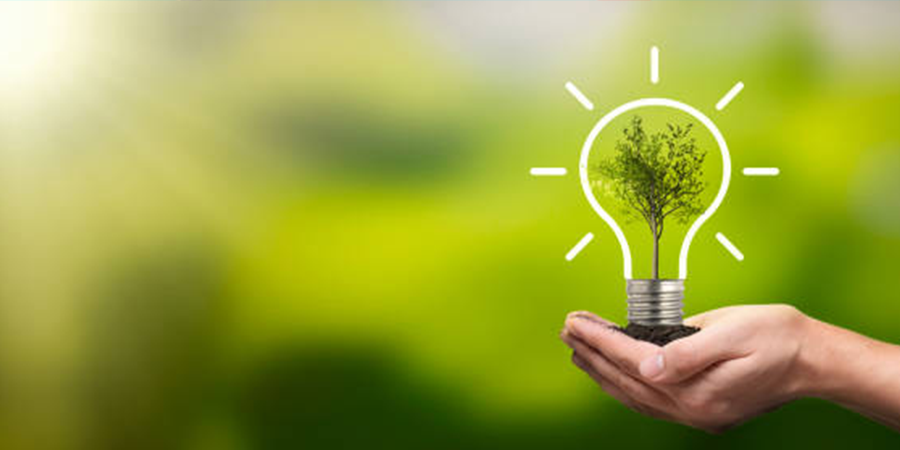 A hand holds a tree that symbolizes renewable resources